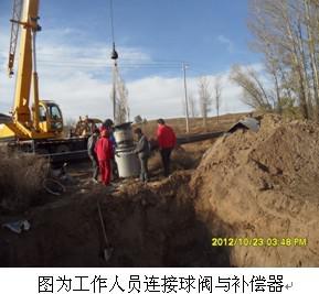 图片379-2.jpg