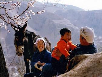 图片376.jpg